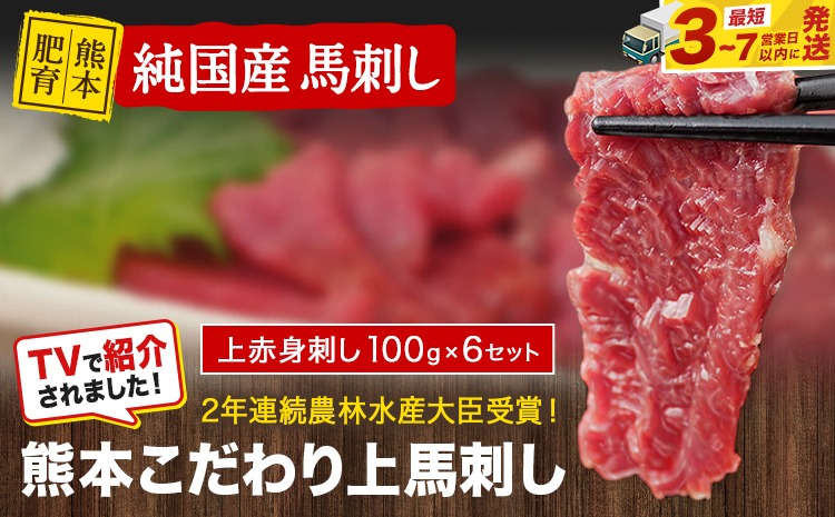 上赤身馬刺し100g×6セット(10ml×6袋)《3-7日以内に出荷予定(土日祝除く)》熊本県 玉名郡 玉東町 馬刺し 国産 赤身 送料無料 肉 タレ付き 600g 牛肉よりヘルシー---gkt_lcl_573_600g---