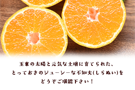 『清晃アグリ』の不知火(しらぬい)約4kg(L-4Lサイズ)10玉-16玉前後 《3月上旬-3月末頃出荷》予約受付中 フルーツ 旬★あのデコポンと同品種★ 熊本県玉名郡玉東町