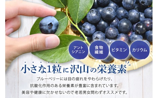冷凍 ブルーベリー  普通1kg ダチョウ王国産 ( 1kg 1パック ) 完熟 1キロ 果物 フルーツ 国産 産地直送 農家直送 産直 くだもの スムージー ジャム ヨーグルト デザート 茨城 茨城