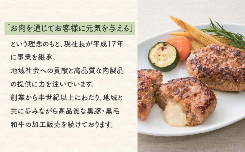 鹿児島県産黒豚 生ハンバーグ詰合せ　K356-005