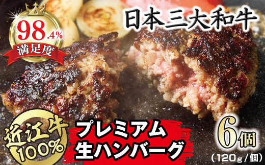 近江牛１００％　プレミアム生ハンバーグ　720g（約120g×6個）【FO18U】