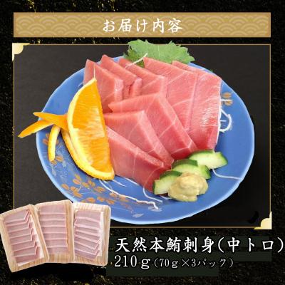 ふるさと納税 室戸市 天然本マグロ 刺身パック 【 中トロ ・ 赤身 】 420g(70g×各3パック) |  | 02