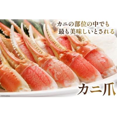 ふるさと納税 気仙沼市 リピーター続出! 本ずわいがに爪 約700g 20564321 |  | 01