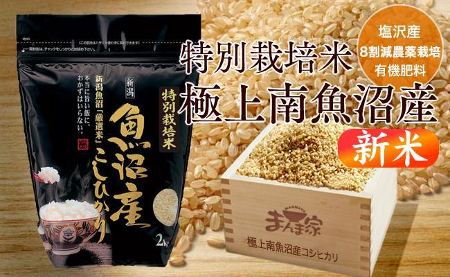 【令和8年産新米予約】特別栽培米「極上南魚沼産コシヒカリ」（有機肥料、8割減農薬栽培）玄米４ｋｇ【2026年10月上旬より1ヶ月以内に順次発送予定】