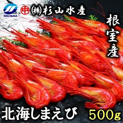 ふるさと納税 根室市 ＜12/17まで年内配送＞★北海しまえび500g(28〜34尾)×1P B-75010