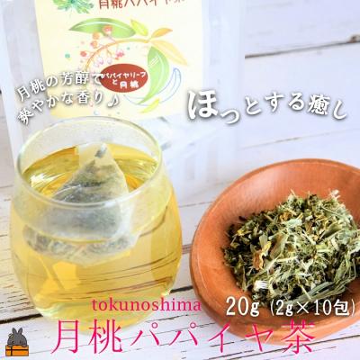 ふるさと納税 徳之島町 徳之島の癒しのリーフティー♪月桃パパイヤ茶(2g×20包)