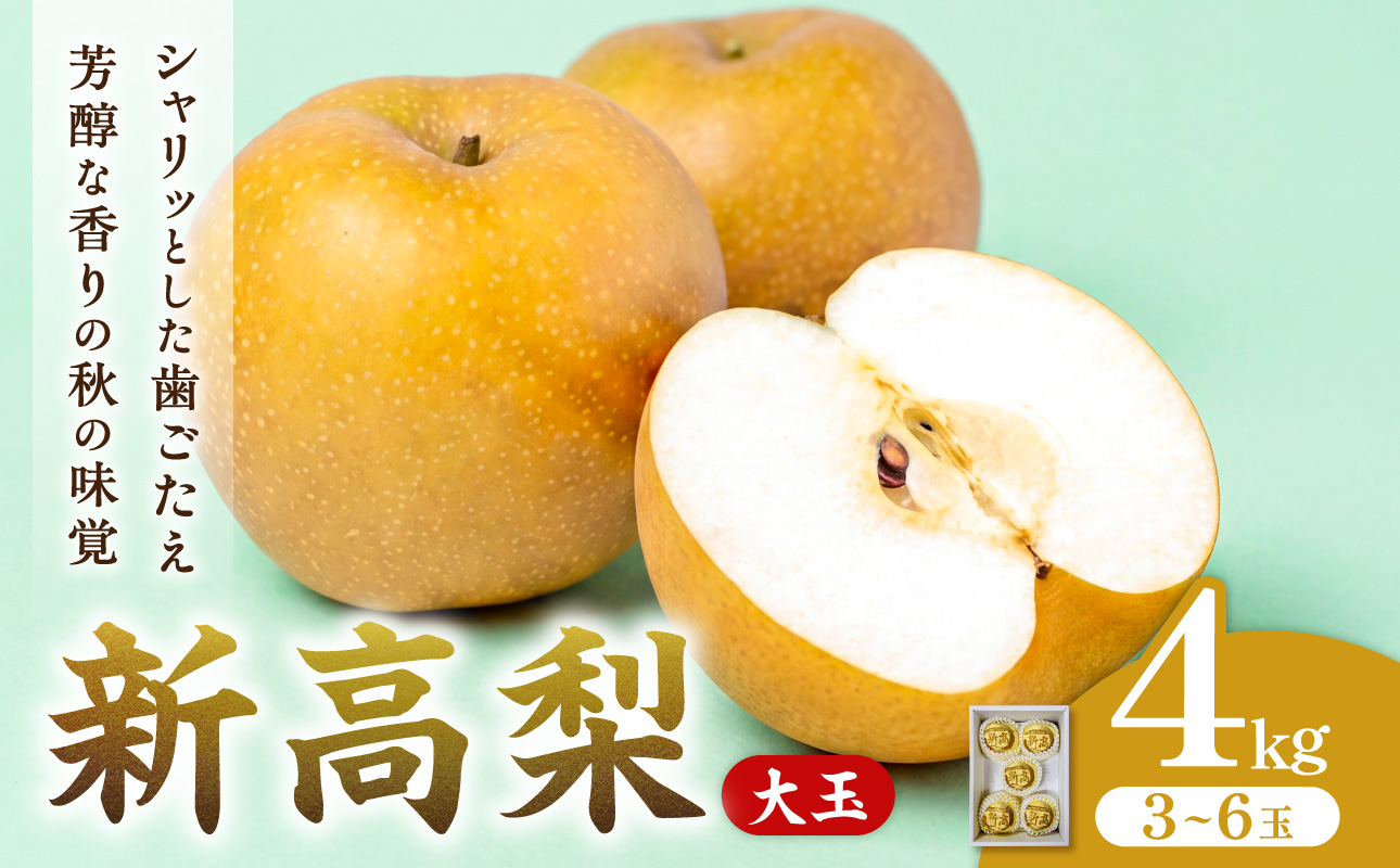 【2027年発送・先行予約】新高梨 3～6玉（約4kg） 化粧箱入り（令和9年9月下旬～11月上旬頃発送）【梨】