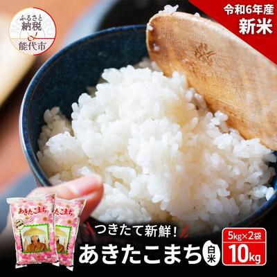 ふるさと納税 能代市 白米 つきたて新鮮!秋田県産 あきたこまち 10kg[No.5335-0182]