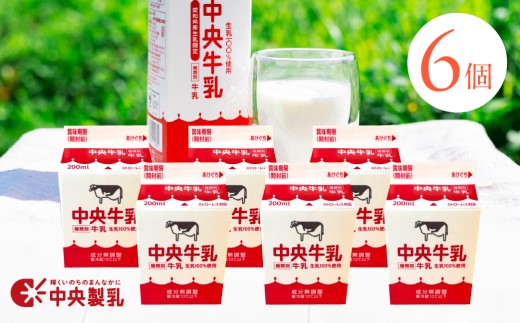 中央製乳 中央牛乳200ml 6本セット 牛乳 ミルク 成分無調整 牛乳 新鮮 生乳100%使用 愛知産生乳限定 飲みきりサイズ 愛知県 豊橋市
