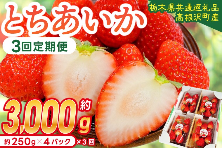 
                  【先行予約】【3回定期便】栃木県産 とちあいか 合計3,000g (250g以上×4パック✕3回) 農家直送 家庭用 和饗エコファーム【栃木県共通返礼品/高根沢町産】｜定期便 栃木県 ふるさと納税 いちご イチゴ 苺 旬 果物 フルーツ とちあいか(DW002)
                