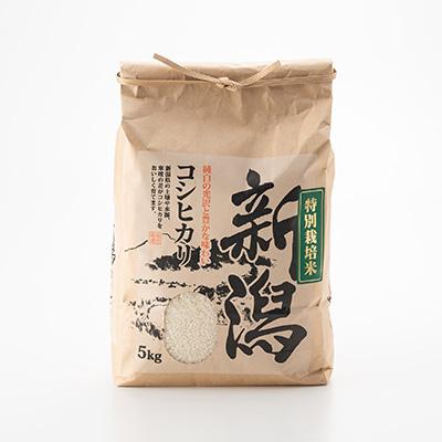 ふるさと納税 五泉市 令和6年　新潟県五泉市四ヶ村産　コシヒカリ5kg×2　10kg精白米 |  | 03