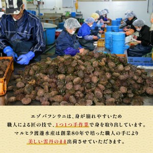≪規格外品600g≫無添加エゾバフンウニ塩水パック600g B 23年10月下旬～11月下旬