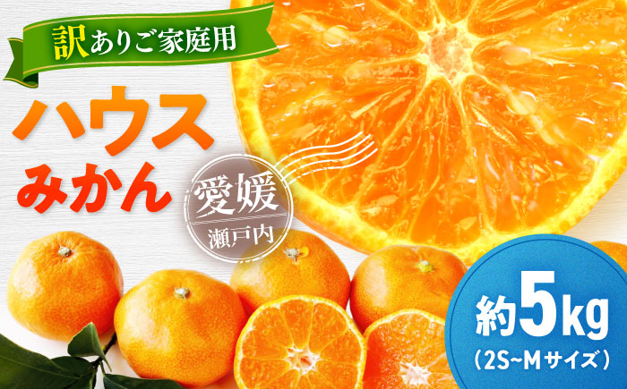 【先行予約】【7月上旬から順次発送】【ご家庭用】愛媛県産 峯田農園のあま〜い「ハウスみかん」5kg　小玉（2S,S,Mサイズ混合）愛媛県大洲市/峯田農園　 [AGBT021]