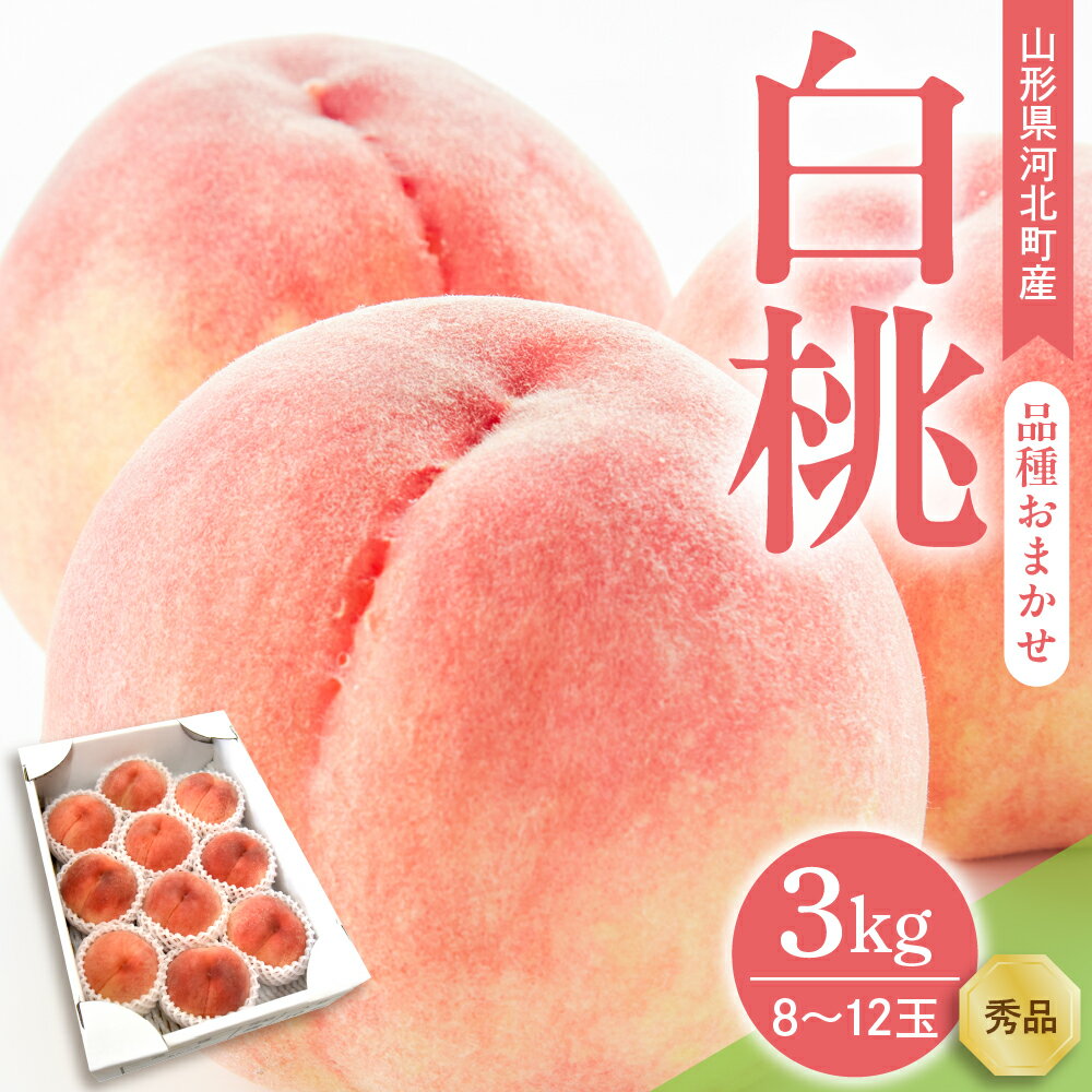 【ふるさと納税】令和7年産 白桃 品種おまかせ 3kg (8〜12玉前後) ギフト箱入 秀品 山形県産 もも モモ ピーチ 桃 山形県 河北町