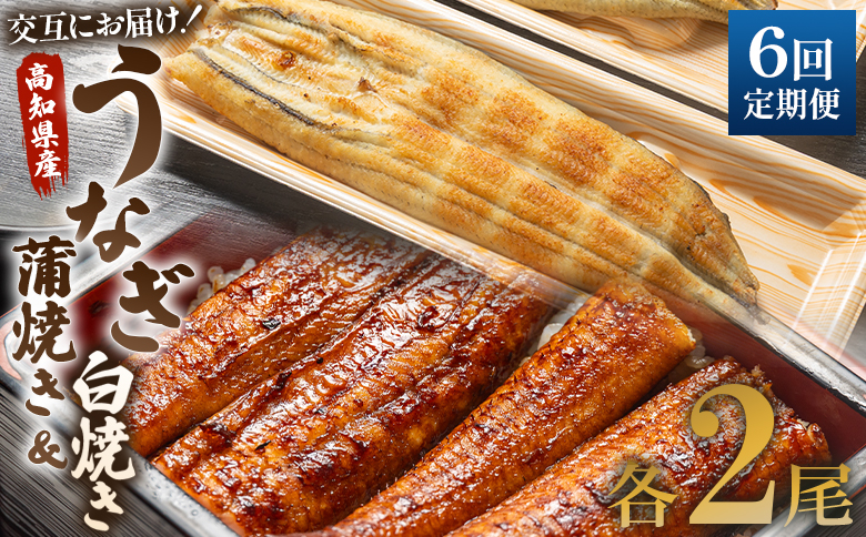 国産 うなぎ 定期便 6回 うなぎ蒲焼き&白焼き120g 2尾(無頭) 交互にお届け 魚介 国産 海鮮 魚 かばやき 鰻 ウナギ 惣菜 お手軽 しらやき 加工品 加工食品 冷凍 Wun-0049