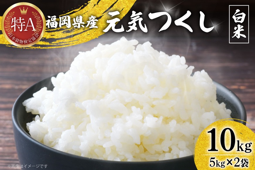 米 令和7年 白米 元気つくし 5kg 2袋 計 10kg [ベネフィス 福岡県 宇美町 um40azp190011] 令和7年産 お米 ご飯 コメ ごはん