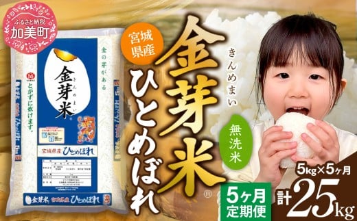 【定期便 5回】 金芽米 無洗米 令和7年産 宮城県産 ひとめぼれ 計25kg( 5kg ×5回) [カメイ 宮城県 加美町 km-my-knm05-t5-r7] 5ヶ月 米 お米 こめ コメ 精米 白米 きんめまい