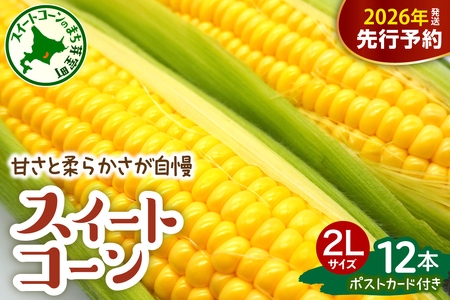 レビューキャンペーン実施中！【先行受付】【2026年7月下旬～8月下旬頃配送】北海道十勝芽室町 上美生のたからばこ とうもろこしゴールドラッシュ ２Lサイズ以上12本ポストカード セット  人気 朝採り たっぷり 産地直送 甘い 送料無料 期間限定 数量限定 北海道 十勝 とかち 芽室町 めむろ 上美生 かみびせい お取り寄せ お土産me029-001c-26