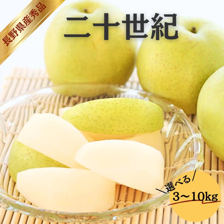 【ふるさと納税】＊2026年度発送＊ 梨 二十世紀（長野県産秀品）選べる3kg～10kg／9月上旬～9月下旬頃配送予定 // 長野県 南信州 梨 なし ナシ 二十世紀 20世紀 贈答 MS36
