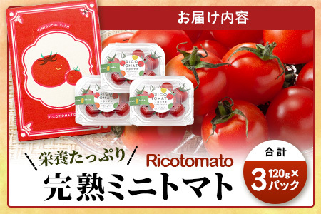 【先行予約】完熟ミニトマト 【少量パック】 120gx3p　たにぐちファーム 完熟ミニトマト 360g とりこになるトマト 野菜 とまと トマト リコピン 佐賀産 佐賀県 鹿島市　A-212