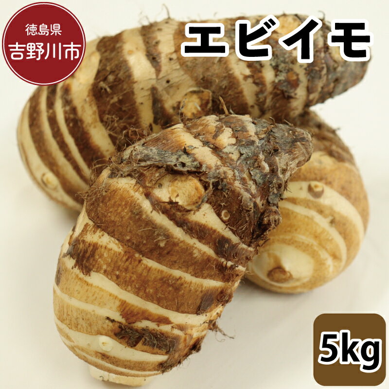 【ふるさと納税】 エビイモ 5kg 2025年10月上旬～発送予定 先行予約 海老芋 食材 高級 和食 家庭用 伝統野菜 グルメ 取り寄せ 旬 京野菜 煮物 日本料理 里芋 芋 いも 産直 徳島県 吉野川市