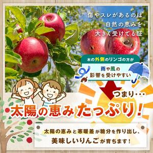 【2026年先行予約】信州産 塩尻エールりんご！農家さん応援♪♪ 果汁たっぷり ぐんま名月 約5kg（14～18玉）11月上旬～11月下旬頃にかけて順次発送予定訳あり