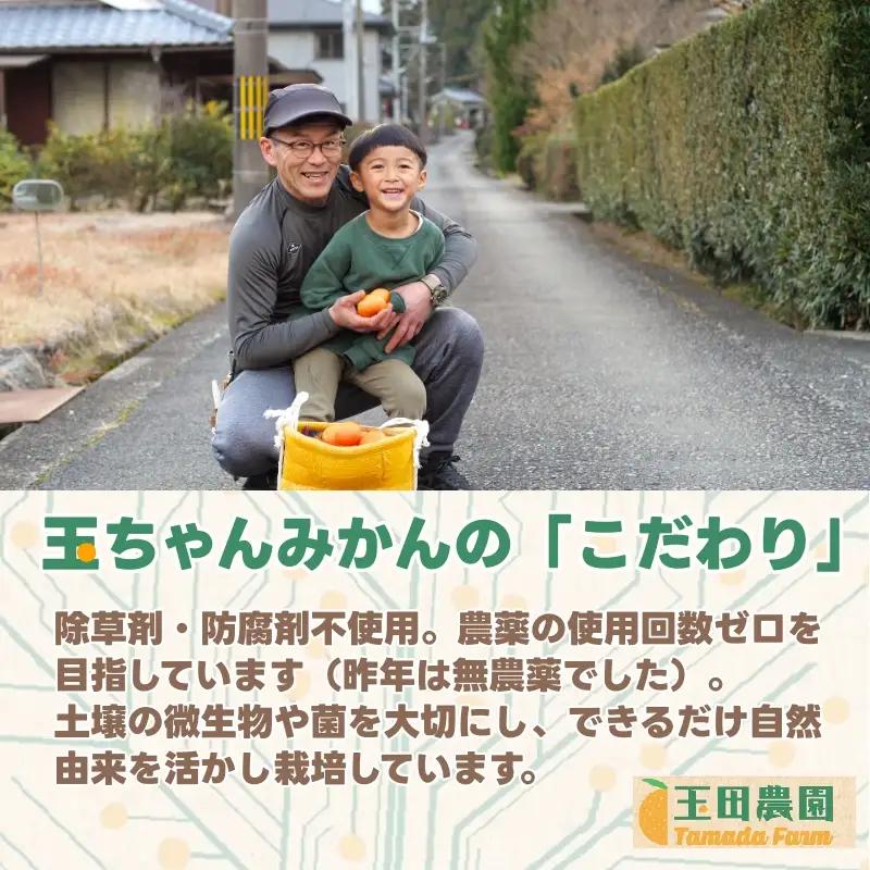 有田 みかん 旨時 体に優しい玉ちゃんみかん 2kg / 温州みかん 有田みかん 甘い 和歌山 柑橘 ※2026年12月初旬～2027年2月中旬に順次発送 【tmd004-cu-2】