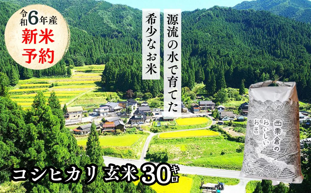 
玄米 30kg 令和6年産 コシヒカリ 岡山 「おおがや米」生産組合 G-ad-ADZA
