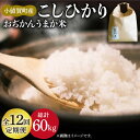 【ふるさと納税】【令和6年度産】【全12回定期便】 コシヒカリ 5kg おぢかんうまか米（精白米） [DAB017] 長崎 五島列島 長崎 小値賀 島 国産 コシヒカリ こしひかり 米 お米 白米 ご飯 精米 お弁当 おにぎり 常温