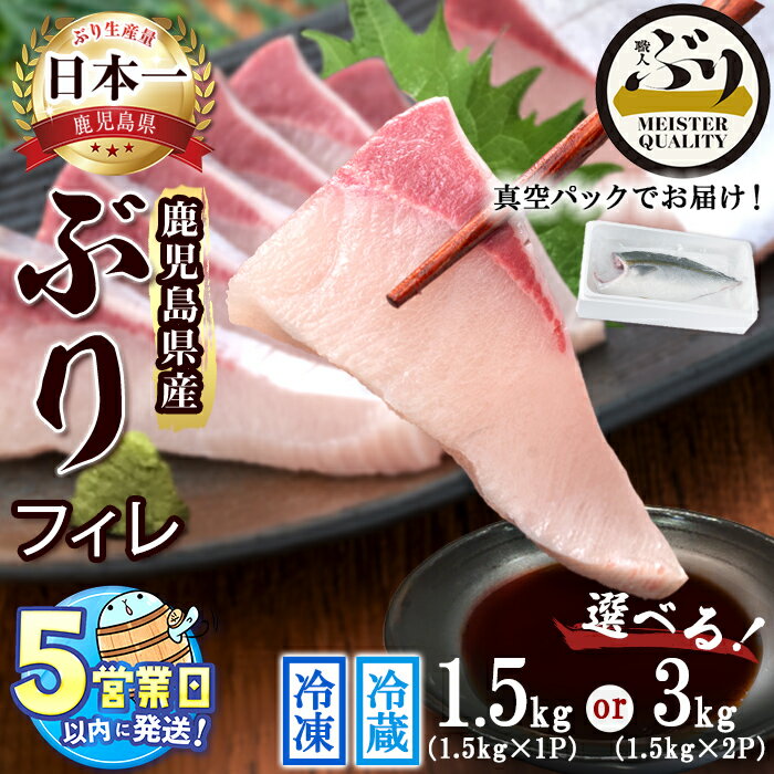 【ふるさと納税】＜すぐ届く！＞【配送方法・内容量が選べる！】鹿児島産ぶりフィレ (冷蔵 or 冷凍) (1.5kg以上 or 3kg以上) ぶり 鰤 魚 海鮮 魚介 刺身 しゃぶしゃぶ 焼魚 煮魚 フィレ フィーレ 半身 片身 国産 鹿児島県産 垂水市産 冷凍 養殖 ぶり職人【アクアブルー】
