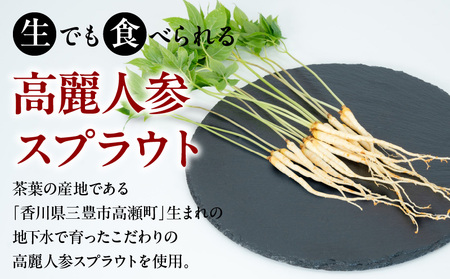 高麗人参 醤油 しょうゆ 米酢 高麗人参スプラウトをまるごと漬け込んだ醤油と米酢セット_M145-0004