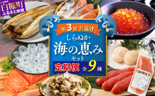 
しらぬか海の恵みセット'23-'24【年3回定期便】
