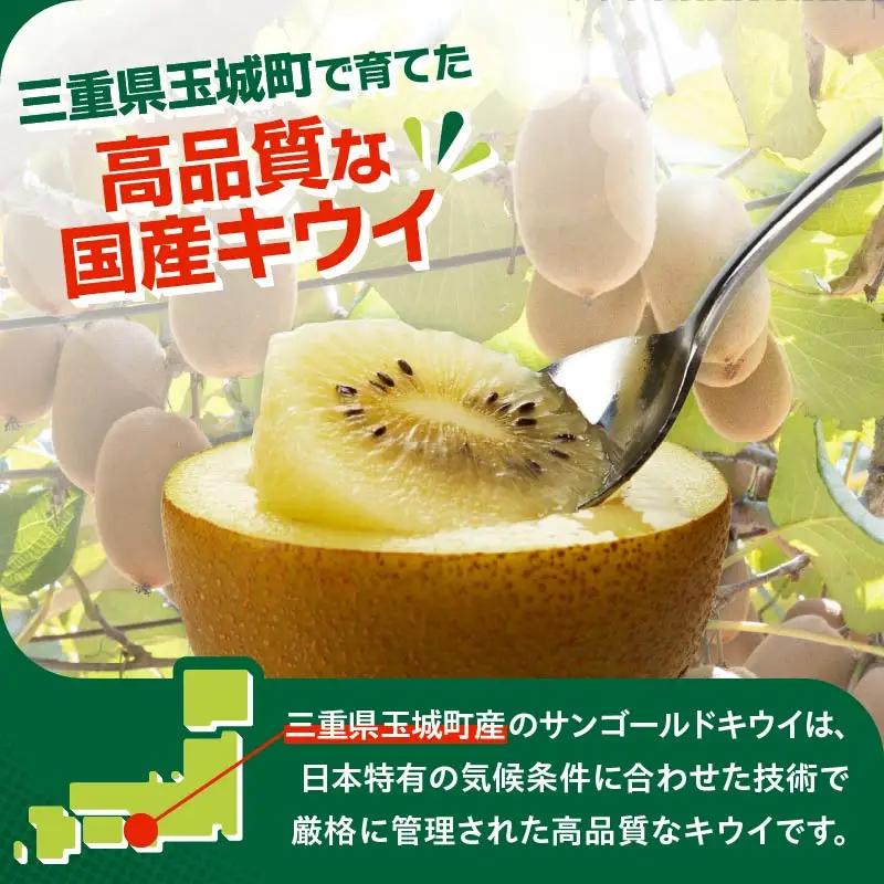 【先行予約】2026年度発送 三重県玉城町産 ゼスプリ サンゴールドキウイ 約1kg(贈答用)