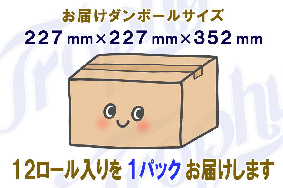 定期便 【全12回】トイレットペーパー シングル 12個×1パック トロフィー [sf077-102]