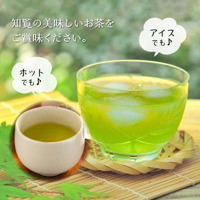 ふるさと納税 南九州市 知覧緑茶ティーバッグ500g×2本 |  | 02