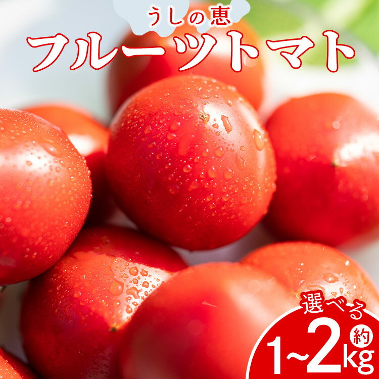 【ふるさと納税】【選べる内容量】数量限定 うしの恵 フルーツトマト (約1kg/約2kg) - 送料無料 期間限定 野菜 とまと 産地直送 料理 アレンジ サラダ 鍋 サンドイッチ 完熟 リコピン 甘い あまい フレッシュ さっぱり 贈答 お礼 御礼 おいしい 国産 高知県 香南市【常温】