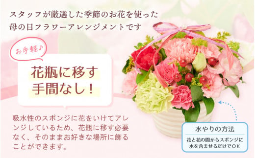 【先行予約】【母の日】 そのまま飾れる 花 ギフト フラワーアレンジメント 【2025年5月発送】生花 感謝を伝える メッセージ カード付・付属にて越前和紙 小花一輪付【福井県 花 華 おしゃれ プレ