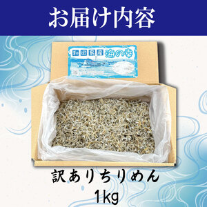【獲れたて即加工！】 ちりめん 訳あり 1kg ちりめんじゃこ 徳島 小松島