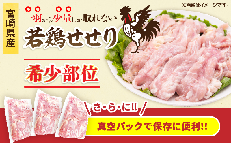 希少部位 宮崎県産 若鶏 せせり 計3kg 鶏肉 とり 鳥 小肉 国産 小分け 真空パック おかず お弁当 おつまみ 食品 チキン 簡単調理 鶏飯 焼き鳥 唐揚げ 炒め物 煮物 焼肉 串焼き チキンカ