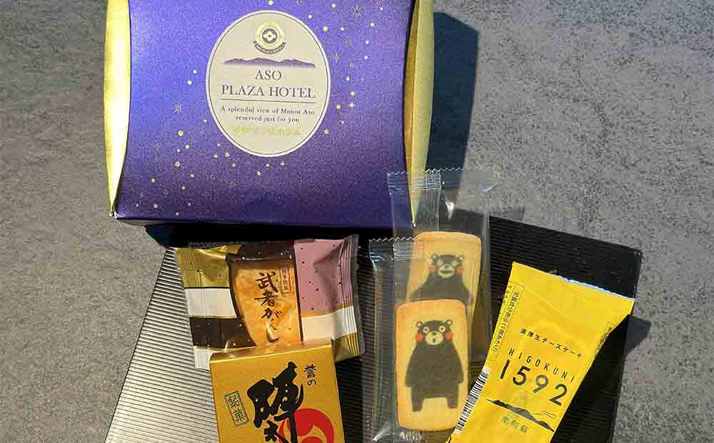 最上階から阿蘇五岳を一望できる部屋【最上階スカイラウンジ利用付】阿蘇プラザホテル　ペア宿泊券（1泊2食付） 自然 大自然 旅館 内牧温泉 熊本県 阿蘇市