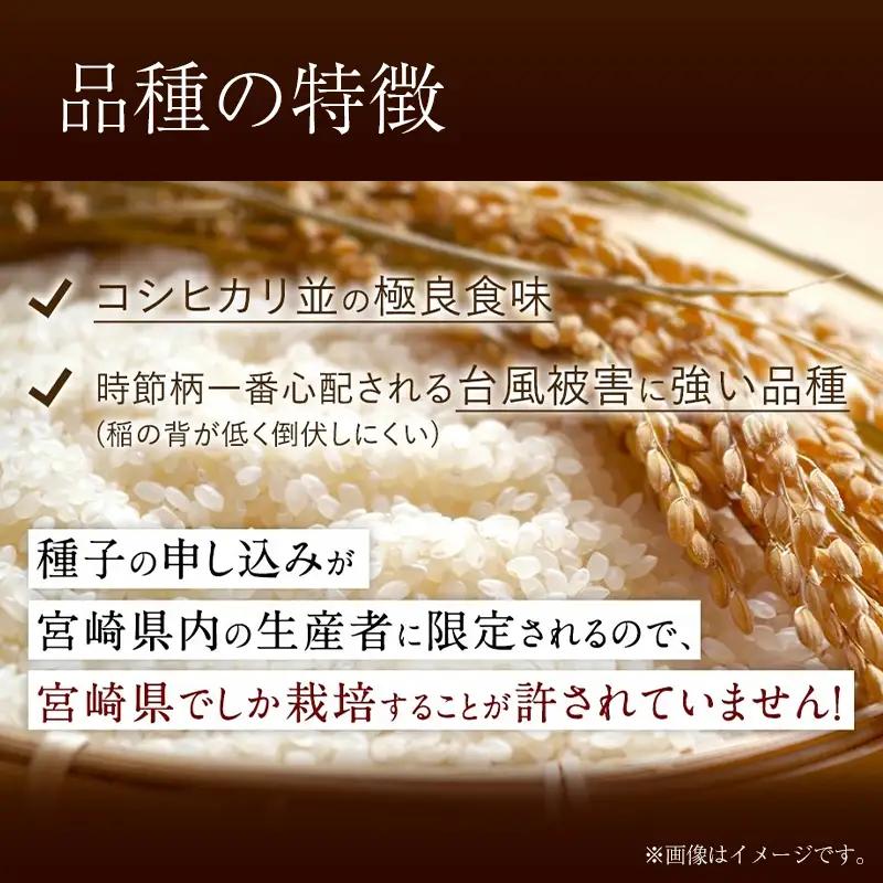 【無洗米】 ＜チャック付＞ 新米 国産 令和8年産 夏の笑み 宮崎県産（5kg） 