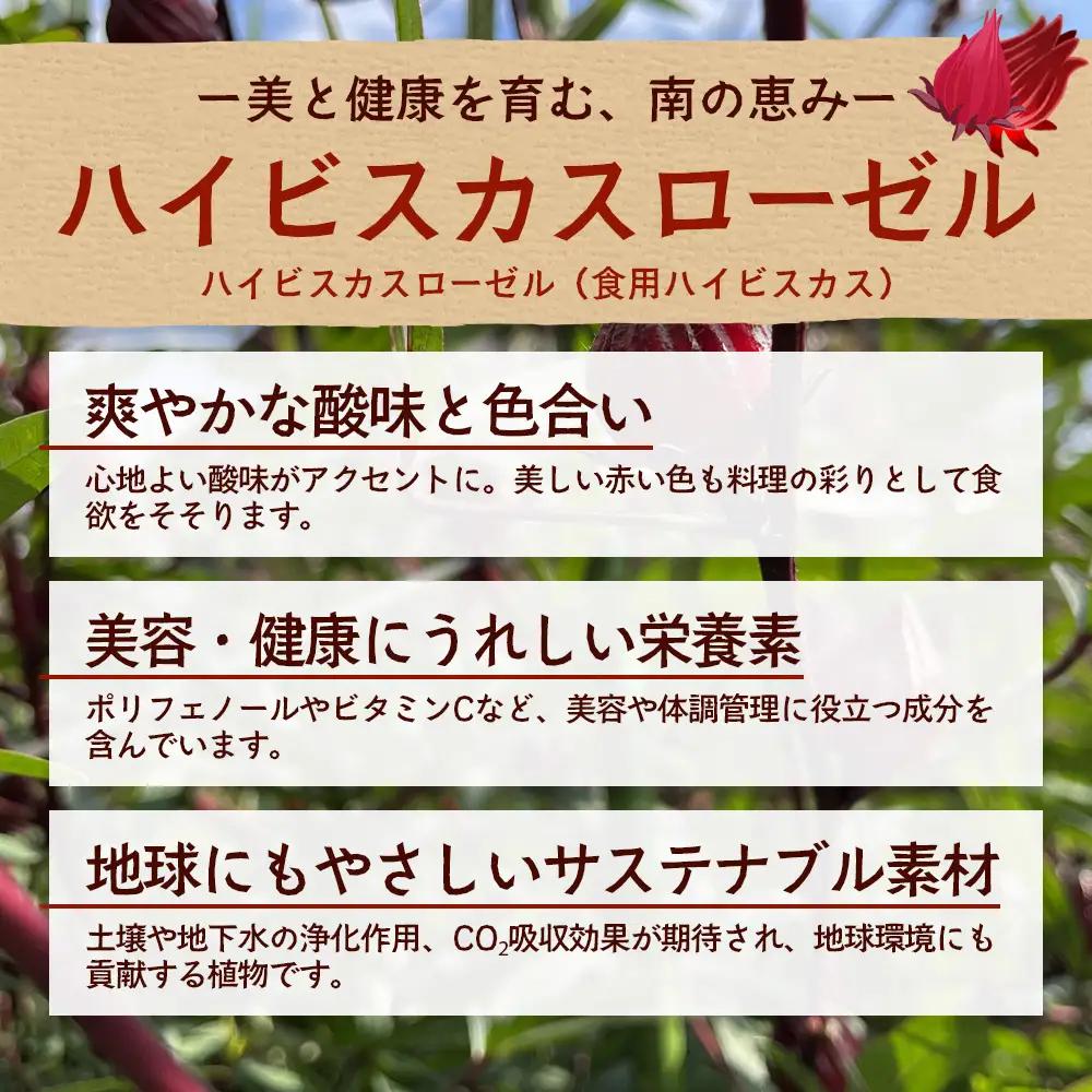 本土最南端！ハイビスカスローゼルうどん（5袋）と地魚のさつまあげ（5枚×2袋）セット MO-015｜うどん ハイビスカス ローゼル さつまあげ 地魚 麺 食品 加工食品 人気 おすすめ  オリジナル 