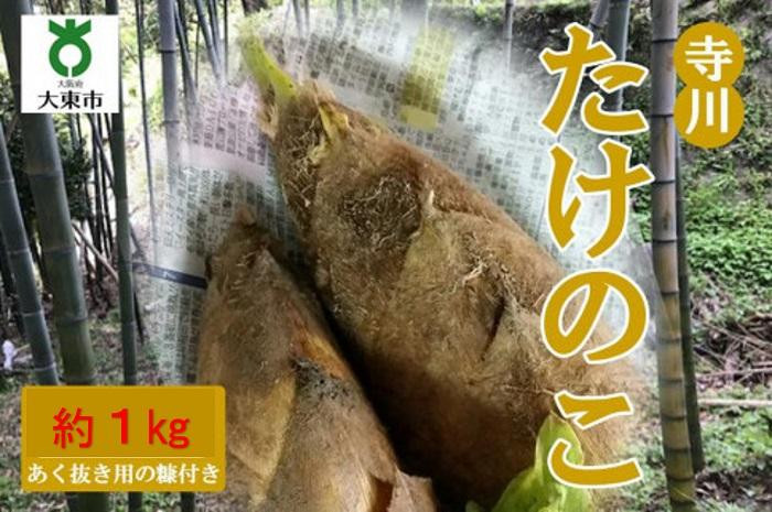 
            【2025年発送】＜30セット限定＞朝堀り！新鮮！「寺川城の越たけのこ」1kg
          