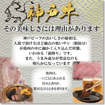訳あり 神戸牛 焼肉用(部位おまかせ)400g YBY1 【2026年4月より順次発送】【配送不可地域：離島】