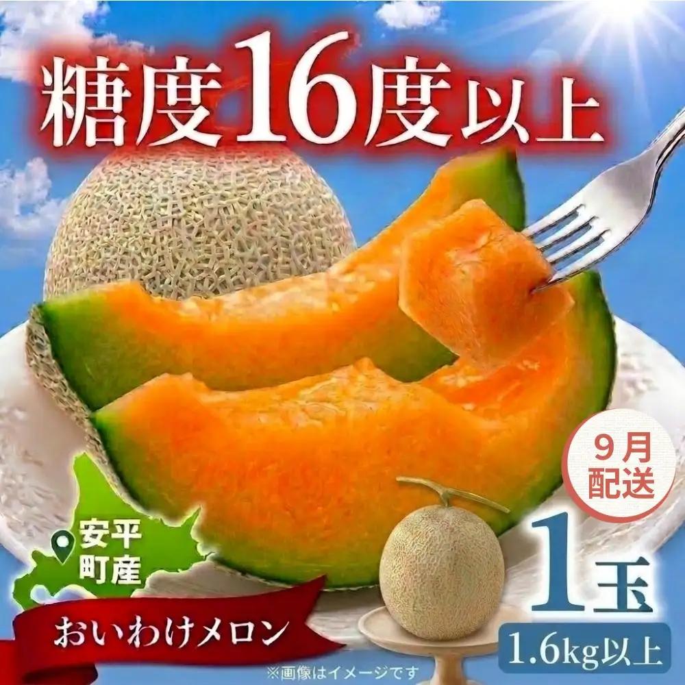 【2027年先行予約】おいわけメロン 1.6kg以上 1玉【9月配送】北海道安平町産 赤肉メロン 糖度16度以上 甘い くだもの フルーツ 採れたて 産地直送 ギフト お中元 ※着日指定不可