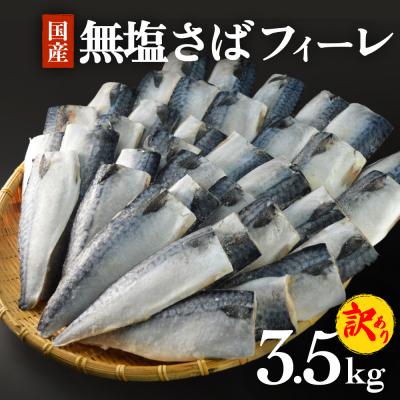 ふるさと納税 石巻市 訳あり 無塩サバフィレ3.5kg (30枚前後) 冷凍 さば 鯖 不揃い 魚 お魚 焼き魚 石巻応援