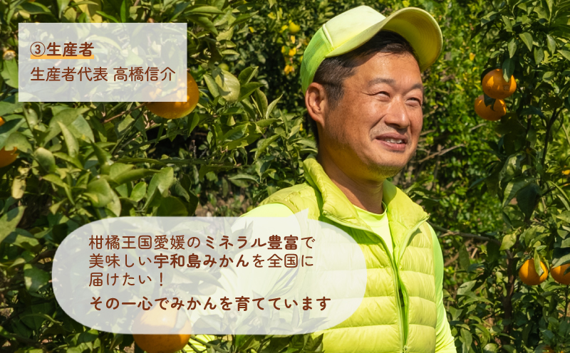 訳あり ポンカン 約10kg 協徳ガーデン 先行予約 予約受付 訳アリ わけあり ぽんかん 甘い 濃厚 ジューシー 果物 くだもの フルーツ 柑橘 みかん mikan 宇和島みかん 愛媛蜜柑 愛媛ミカン ミカン 蜜柑 農家直送 産地直送 数量限定 国産 愛媛 宇和島 B010-178005