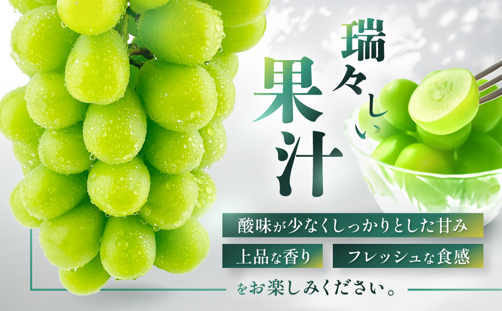 ぶどう 2024年 先行予約 シャイン マスカット 晴王 2房（合計約1.1kg） 晴れの国 おかやま 岡山県産 フルーツ王国 果物王国 [No.5220-1029]