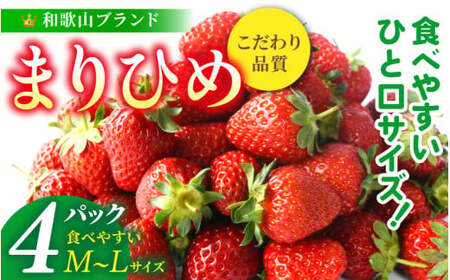 【先行予約】まりひめイチゴ4パック 食べやすいひと口サイズ M～L（15粒～20粒入×4パック）【2027年1月中旬〜3月下旬頃に順次発送】（お届け日指定不可）/ いちご 苺 まりひめ 和歌山 フルーツ【kgr034】