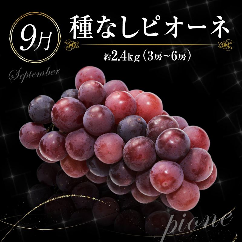 南国宮崎 旬の《至高》フルーツ定期便 奇数月コース（計6回）【F95-24】_イメージ4